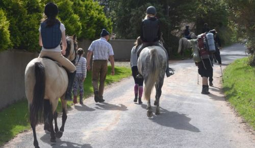 Pony Mountain Trek