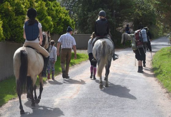 Pony Mountain Trek