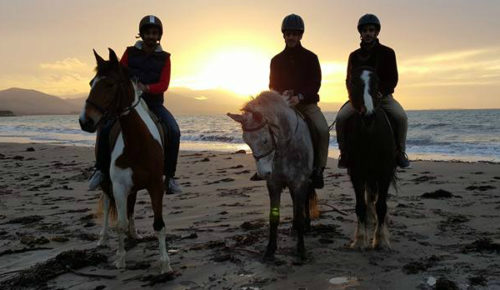 Horses on a beach trek.